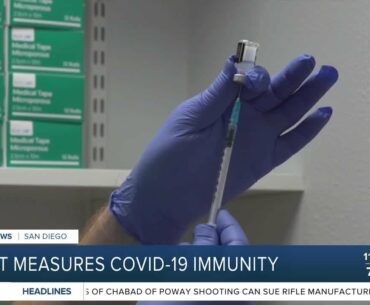 Test measures COVID-19 immunity