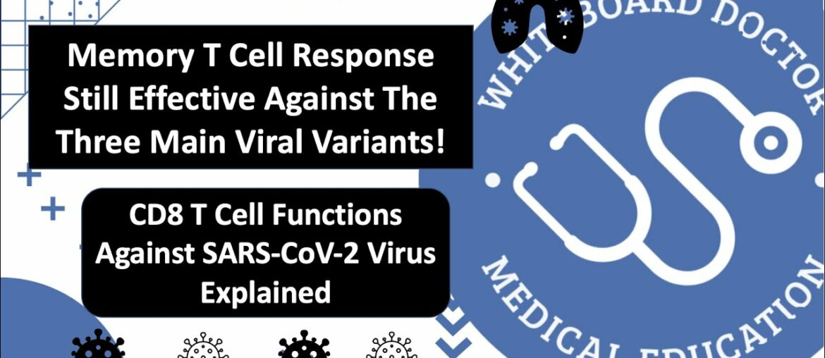 T Cell Memory Immune Response May Be Preserved Against COVID-19 Viral Variants