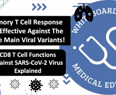 T Cell Memory Immune Response May Be Preserved Against COVID-19 Viral Variants