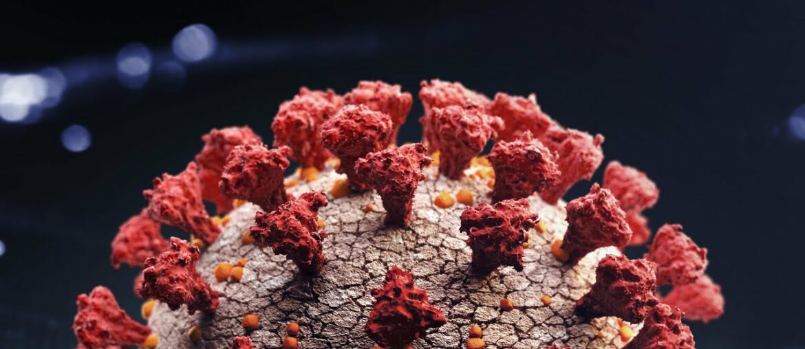 ‘Likelihood of reaching herd immunity at this point is fairly low’: Epidemiologist