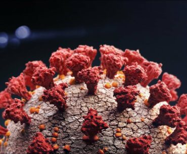 ‘Likelihood of reaching herd immunity at this point is fairly low’: Epidemiologist