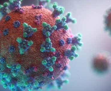 COVID-19 coronavirus vaccine: everything you need to know