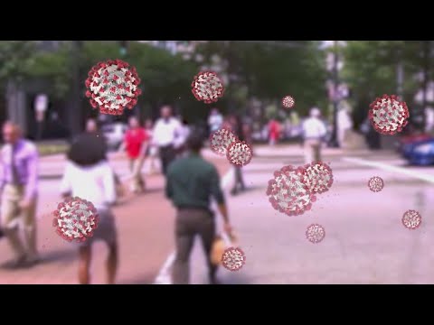 Models show wave of COVID infections will bring herd immunity in Florida