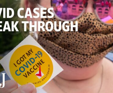 Breakthrough Covid-19 Cases Raise Questions About Immunity | WSJ