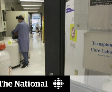 Canadians with compromised immune systems looking for 3rd dose of COVID-19 vaccine