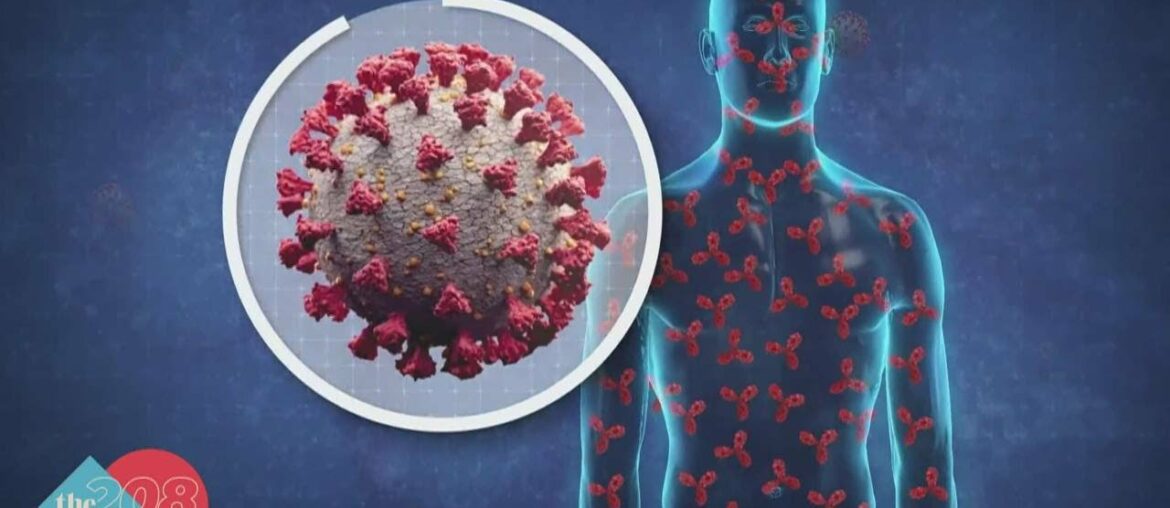 More COVID questions answered: Natural immunity vs. vaccine immunity