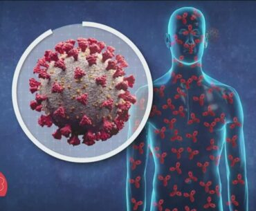 More COVID questions answered: Natural immunity vs. vaccine immunity