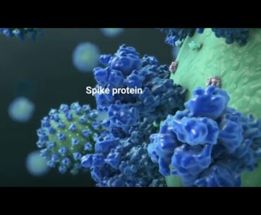 COVID-19 mRNA Vaccine: Will It Change My DNA?