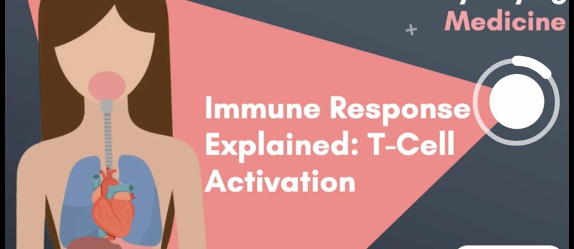 Immune Response Explained: T-Cell Activation