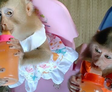 [Moon Family] Monkey Moon and Sky Vitamin supplements by eating