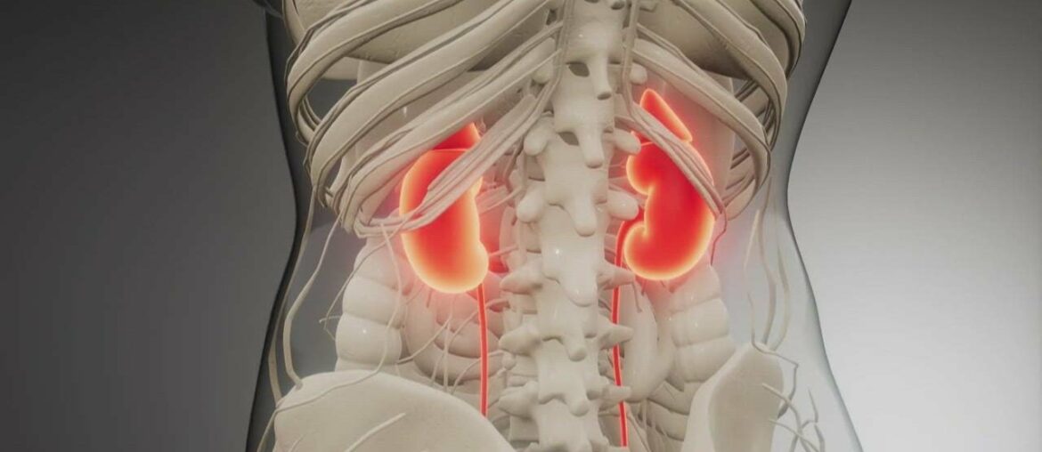 UT Health studies vitamin to treat acute kidney injury caused by coronavirus