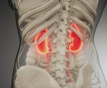 UT Health studies vitamin to treat acute kidney injury caused by coronavirus