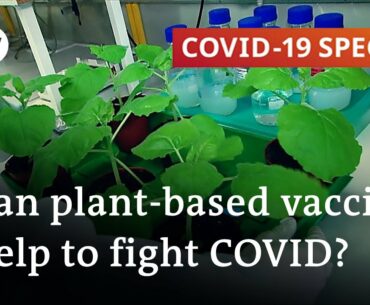 Plant-based vaccines for COVID-19 and other viruses | COVID-19 Special