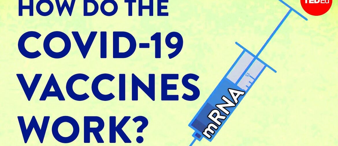 How the COVID-19 vaccines were created so quickly - Kaitlyn Sadtler and Elizabeth Wayne