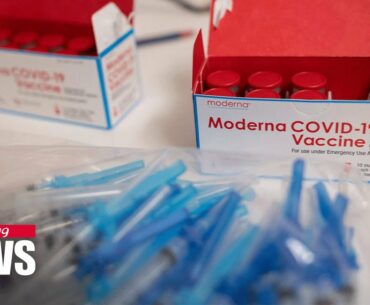 More than 80% of Americans over 16 have some immunity against COVID-19: CDC