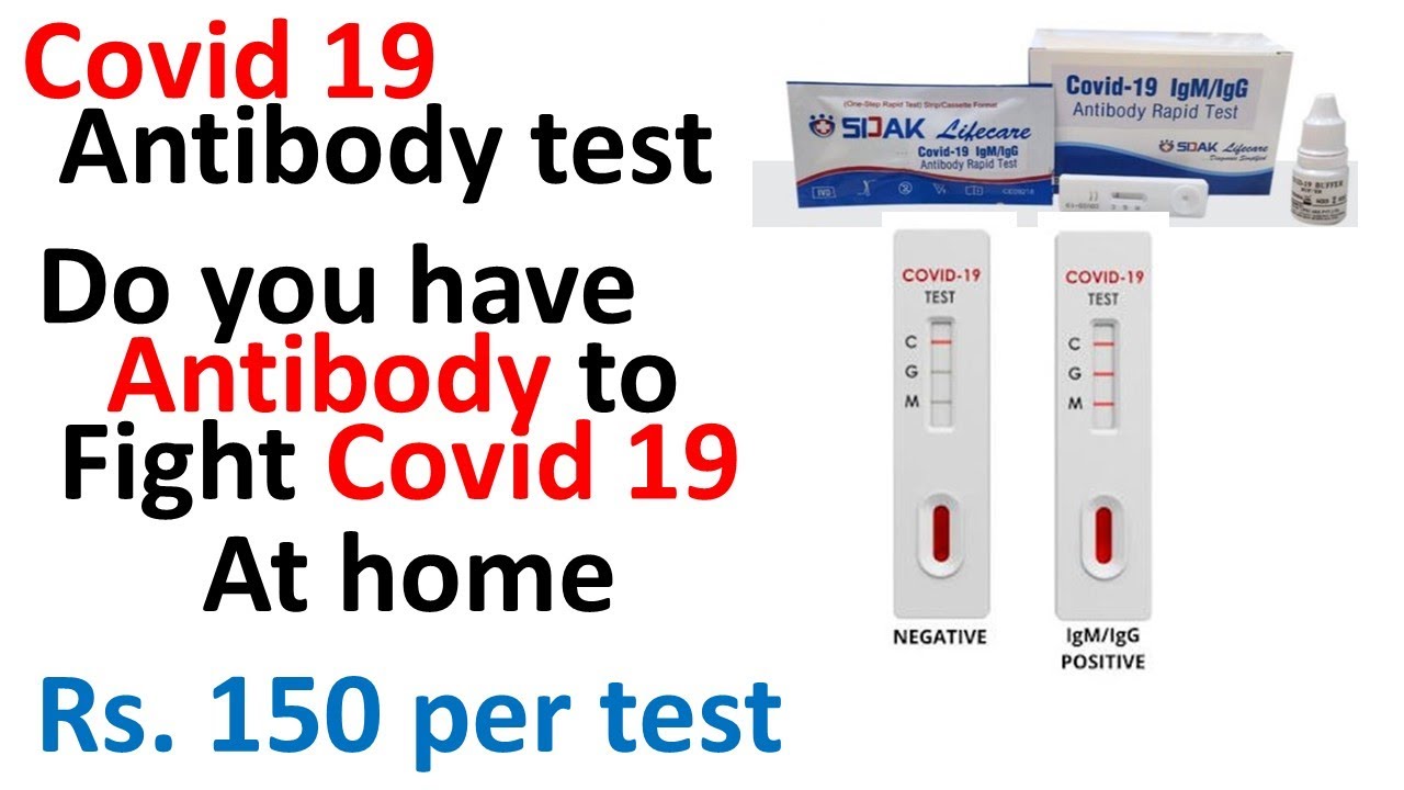 Covid 19 antibody test procedure covid 19 antibody results explained