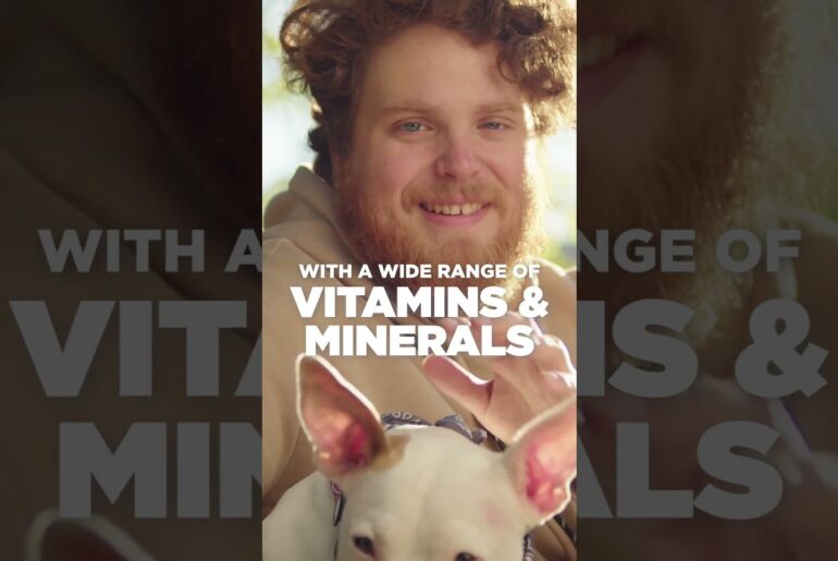 Can you take too much vitamin D? Yes, supplements are a Things To Know