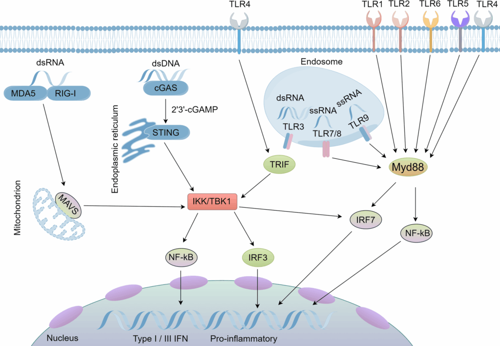 Unveiling the role of m6A modification in esophageal cancer: a new ...