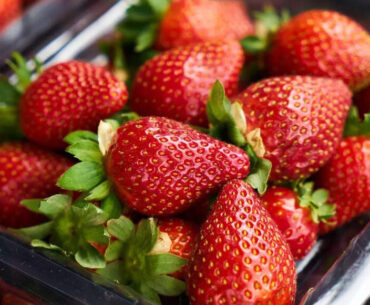 6 health benefits of strawberries: Discover how this superfruit boosts heart, skin and immunity
