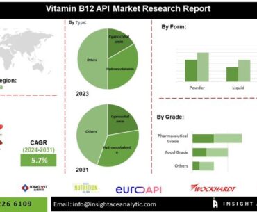 Vitamin B12 API Market