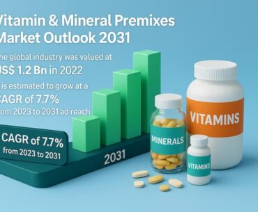 Vitamin & Mineral Premixes Market