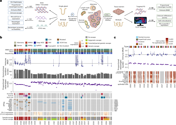 Epigenetically driven and early immune evasion in colorectal cancer ...