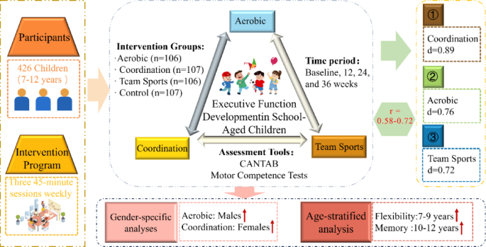 Long term effects of physical activity types on executive functions in ...
