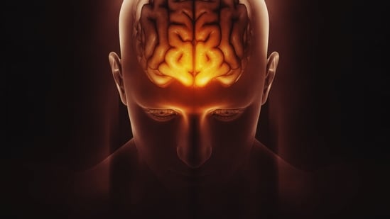 Dr Jay Jagannathan reveals consistency is key to brain health. (Freepik)