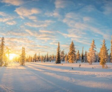 Shine a light on vitamin D