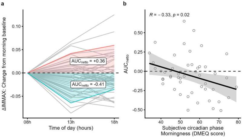 Is the immune system younger in the morning?