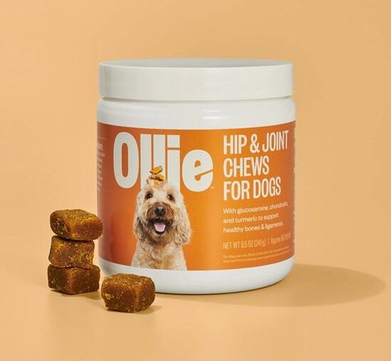 The Global Pet Supplements Market is projected to reach a market