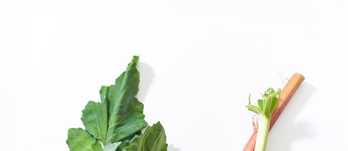 The 13 Best Vitamin E Foods, According to Dietitians