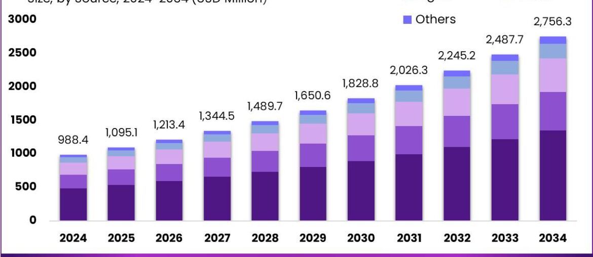 Plant-Based Vitamin D Market