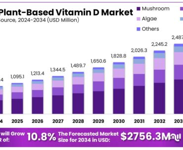 Plant-Based Vitamin D Market