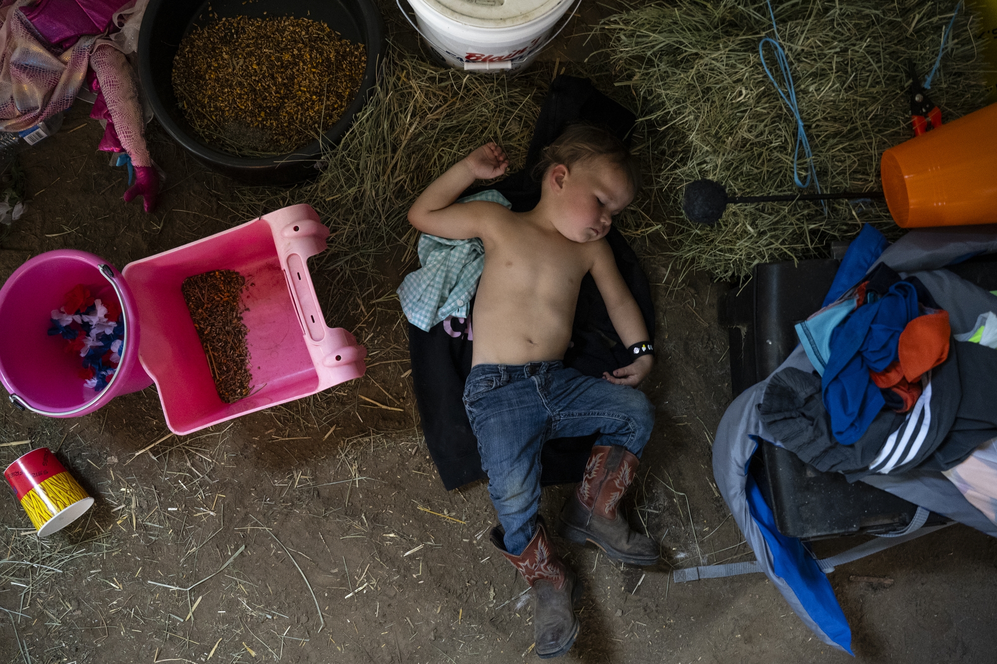 Grayson Shannon, 2, takes a nap behind the pens during the 4H youth goat show at the Genesee County Fair on Thursday, August 21, 2025.
