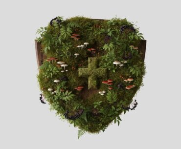 New foundations in immune health – digital magazine