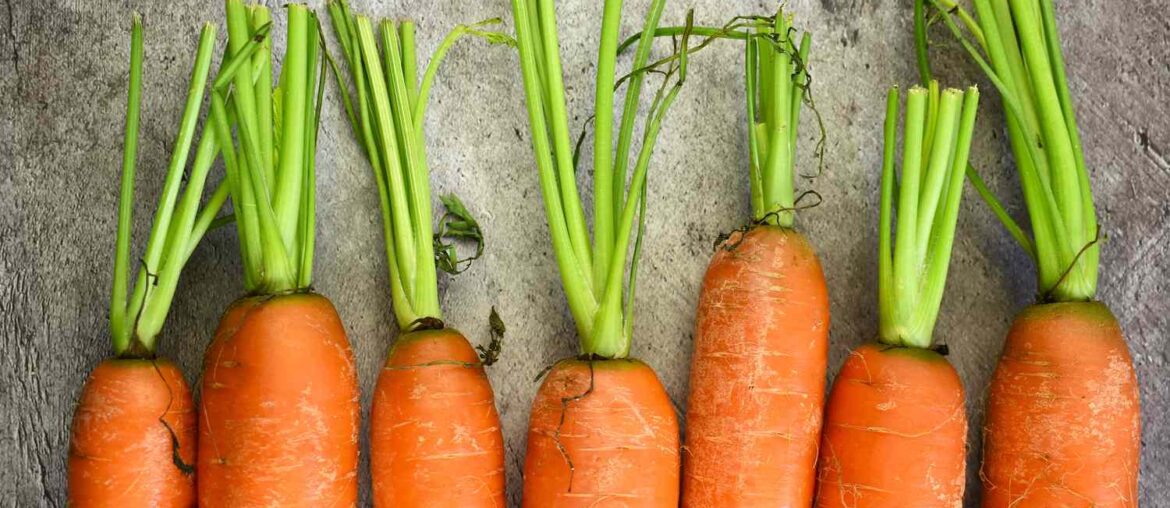 We Asked an Eye Expert If Vitamin A Can Actually Improve Vision