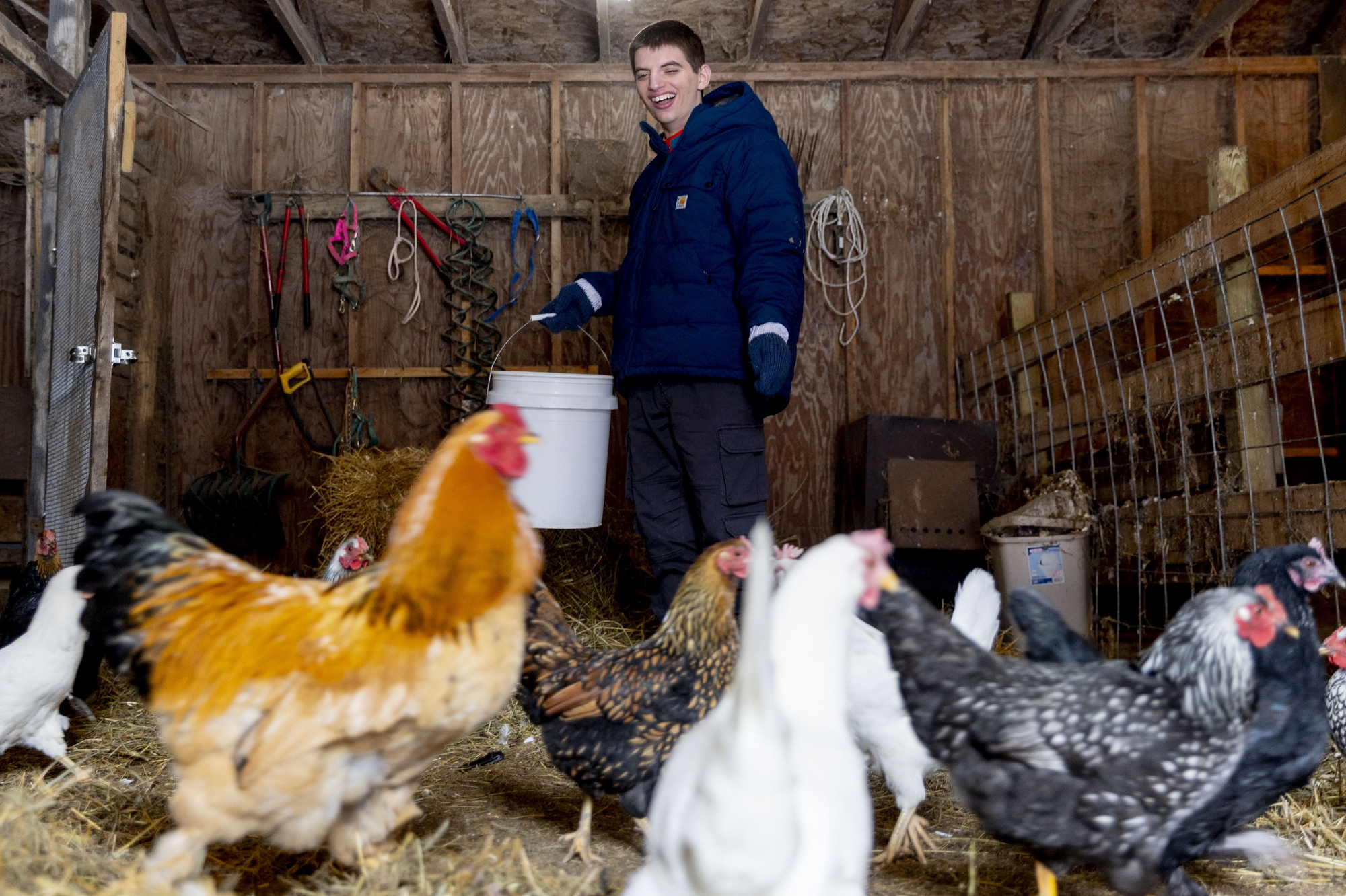Asher Stuever Battel, 16, smiles as works to feed and give water to the chickens and do some of his daily chores on Thursday, Jan. 23, 2025 at the Stuever residence in Capac.