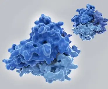 A Roivant spinout bets on AI-designed drugs for immune conditions