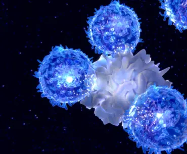 MIT scientists find a way to rejuvenate the immune system as we age