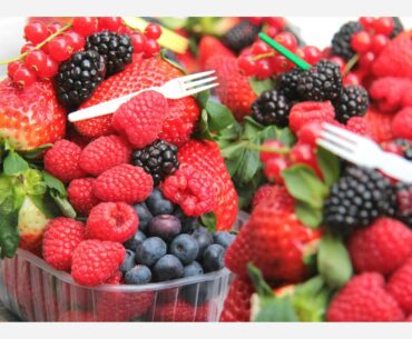 Immune-Boosting Foods for a Healthy Holiday Season