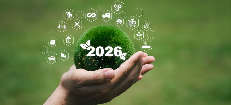 Wellness trends 2026