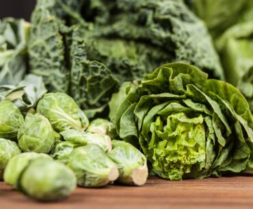 New Research Deepens Understanding of How Vitamin K Affects Brain Health