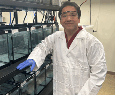 Vitamin C may help protect fertility from a harmful environmental chemical