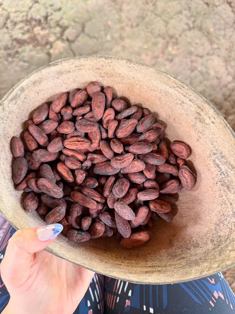 La Coralina Island House, Bocas del Toro