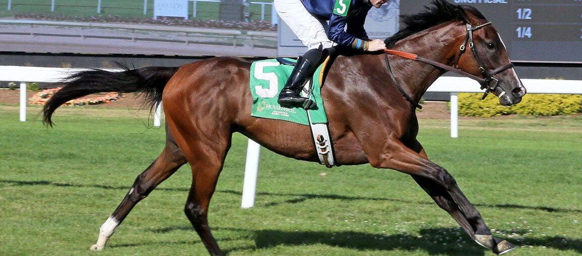 Sherbini, Tigerish Among Latest Keeneland January Supplements