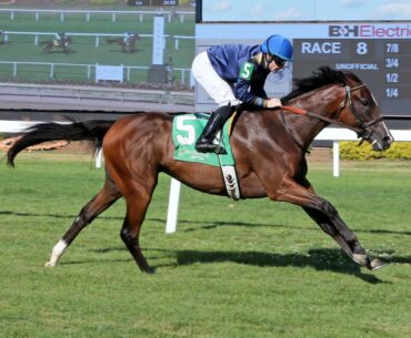 Sherbini, Tigerish Among Latest Keeneland January Supplements