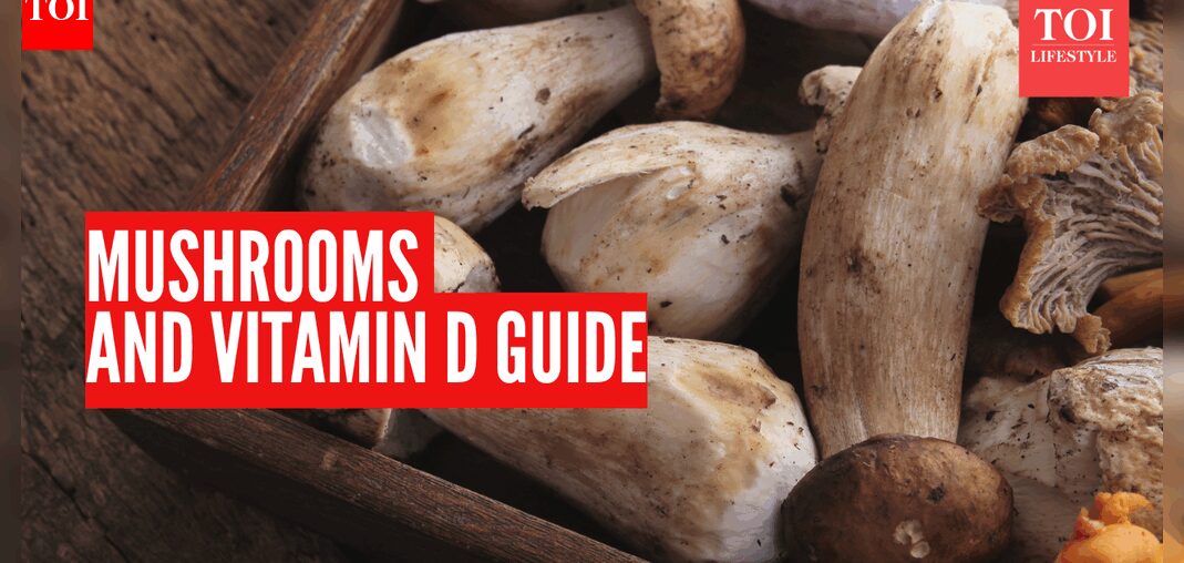 Best mushroom varieties for vitamin D and how to cook them