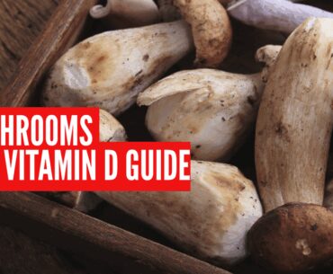 Best mushroom varieties for vitamin D and how to cook them