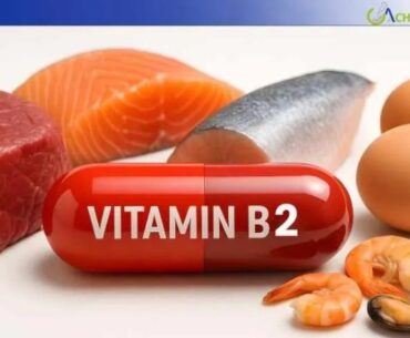 Track Vitamin B2 Price Report Historical and Forecast